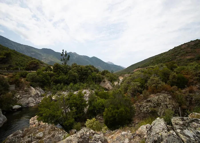 Au Pont De Tuarelli, Ludique, Fango